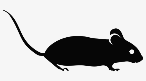 Mouse, Mouse Silhouette, Lab Mouse, Mouse Icon, Rodent - Mice Icon, HD Png Download, Free Download