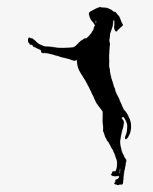 Lab Silhouette - Great Dane Jumping Silhouette, HD Png Download, Free Download