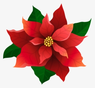 Clip Art Christmas Poinsettia Red Transparent, HD Png Download, Free Download