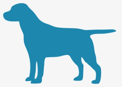 Labrador Retriever - Dog Clipart Lab, HD Png Download, Free Download