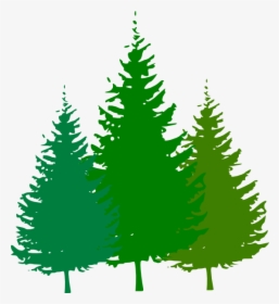 Free Animated Cliparts Download - Pine Tree Clipart Png, Transparent Png, Free Download
