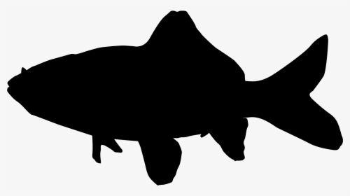 Common Goldfish Silhouette - Silhouette Trout Transparent Background, HD Png Download, Free Download