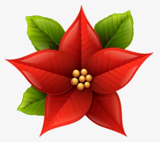 Christmas Poinsettia Png Clip - Poinsettia Clipart, Transparent Png, Free Download