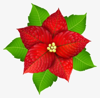 Gallery Free Pictures - Poinsettia Christmas Leaf, HD Png Download, Free Download