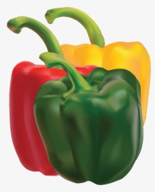 Bell Pepper,natural Foods,peperoncini - Clip Art Bell Pepper, HD Png Download, Free Download