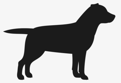 Clip Art Retriever Stamp Dog Cat - 45 Lbs Dog Size, HD Png Download, Free Download