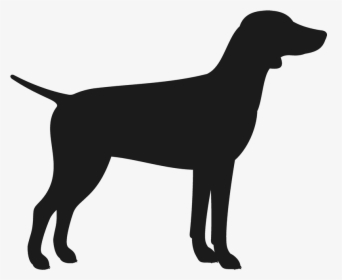 Labrador Retriever Flat-coated Retriever Dog Breed - English Bull Terrier Head Silhouette Png, Transparent Png, Free Download