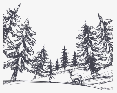 Transparent Forest Clipart Black And White - Forest Sketch, HD Png Download, Free Download