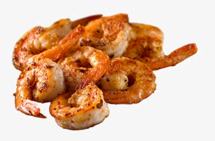 Grilled Shrimp Png, Transparent Png, Free Download