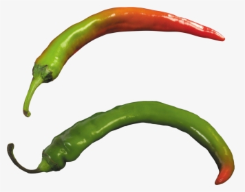 Green Chili Pepper Png, Transparent Png, Free Download