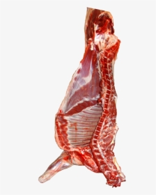 File - Schafhälfte - Mutton Png, Transparent Png, Free Download