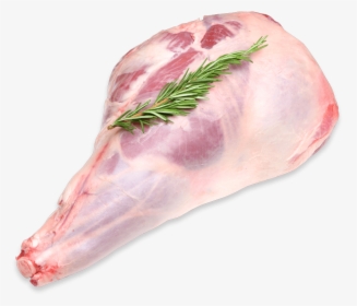 Transparent Mutton Png - Lamb Leg White Background, Png Download, Free Download