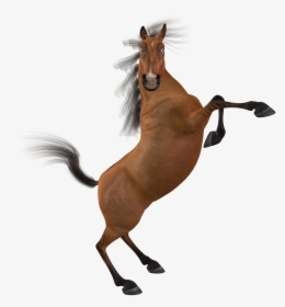 Funny Horse Png, Transparent Png, Free Download