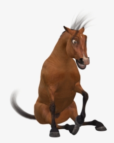Horse, Toon, Funny, Cute, Brown, Toonpferd, Horrified - Horse Funny Png, Transparent Png, Free Download