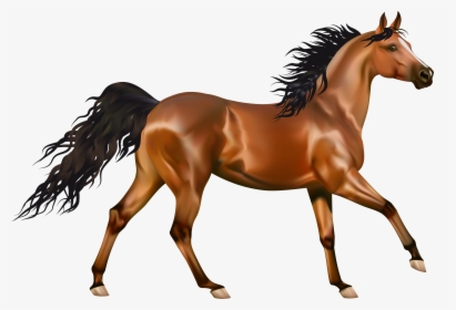 Arabian Horse Pony Equestrianism Clip Art - Horse Clipart, HD Png Download, Free Download