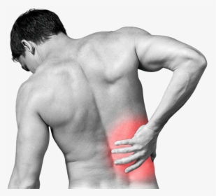 Back Pain Png Photo - Lower Right Back Pain, Transparent Png, Free Download