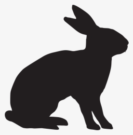 Rabbit Animal Bunny Hare Ears Easter Holidays - Png Coelho, Transparent Png, Free Download