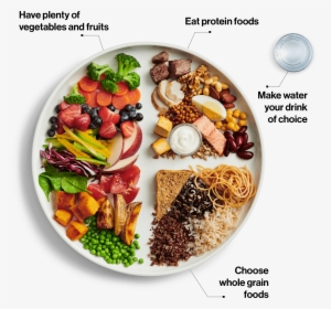 Canada Food Guide 2019, HD Png Download, Free Download