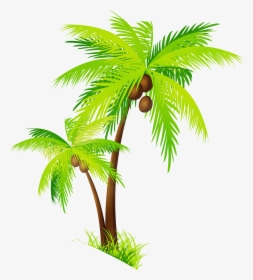 Clip Art Coconut Portable Network Graphics Palm Trees - Clip Art Coconut Tree Png, Transparent Png, Free Download
