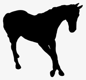 Silhouette Of Horse - Dark Horse Idiom, HD Png Download, Free Download