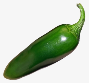Poblano - Pepper Chili Jalapeno Png, Transparent Png, Free Download
