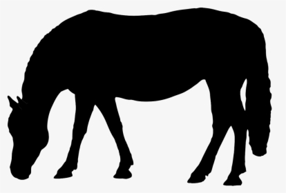 Horse Grazing Clip Art - Horse Silhouette Head Down, HD Png Download, Free Download