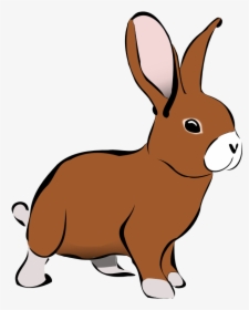 Rabbit Animals Clipart - Rabbit Clipart, HD Png Download, Free Download
