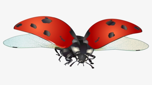 Transparent Leaf Clip Art Png - Ladybug In Flight Png, Png Download, Free Download