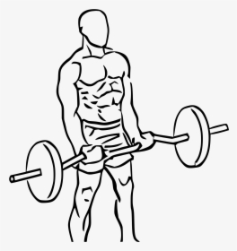 Deadlift Drawing Powerlifting Clip Art Freeuse Library - Ez Bar Curl Png, Transparent Png, Free Download