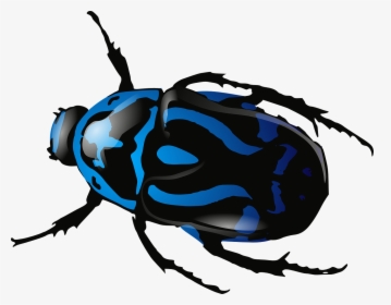 Beetle Insect Bug, HD Png Download, Free Download
