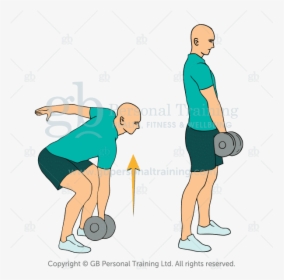Dumbbell Deadlift Exercise, HD Png Download, Free Download