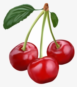 Cherry Transparent Clip Art Image Gallery Png, Png Download, Free Download