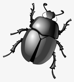 Clip Art Free Bugs Cliparts Download Cartoon Insects Clipart Hd