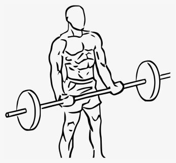 Transparent Weightlifting Clipart - Cross Body Hammer Curl, HD Png Download, Free Download