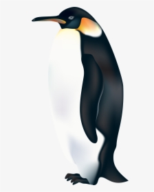 Penguin Png Clip Art - Emperor Penguin Transparent Background, Png Download, Free Download
