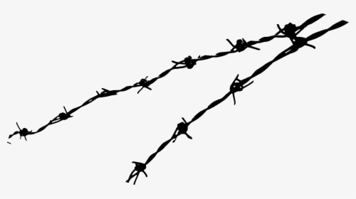 Barbed Wire Png, Transparent Png, Free Download
