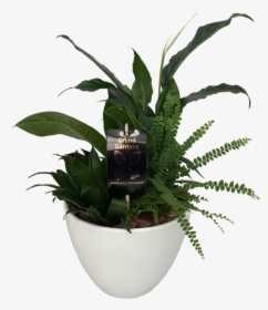 The Peace Lily Planter - Flowerpot, HD Png Download, Free Download