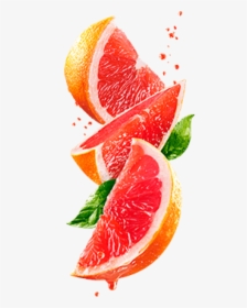 Grapefruit Png, Transparent Png, Free Download