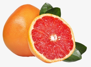 Grapefruit Png Free Download - Bijora Fruit In English, Transparent Png, Free Download