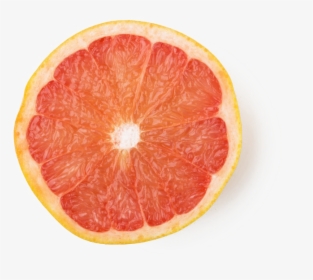 Grapefruit Download Transparent Png Image - Transparent Cut Grapefruit, Png Download, Free Download