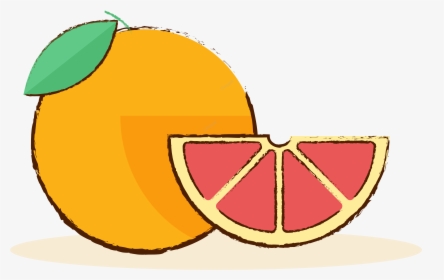 Grapefruit Cartoon Png, Transparent Png, Free Download