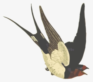 Barn Swallow Clip Arts - Barn Swallow Scissor Tail, HD Png Download, Free Download