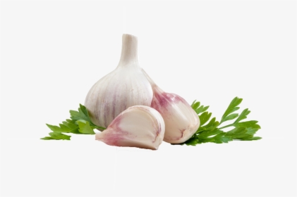 Garlic Mediterranean Cuisine Portable Network Graphics - Garlic Png, Transparent Png, Free Download
