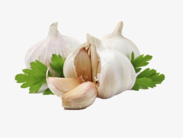 Garlic Olive Oil Herb Ingredient - Transparent Background Garlic Png, Png Download, Free Download