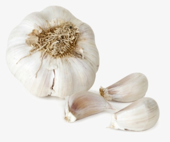 Download Garlic Png File - Garlic Png, Transparent Png, Free Download