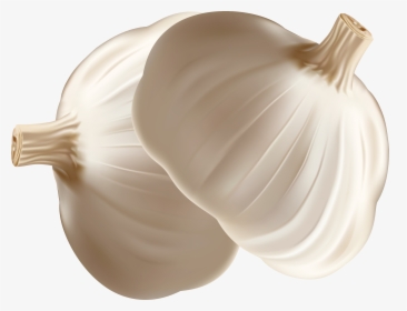 Garlic Onion Euclidean Vector - Garlic, HD Png Download, Free Download