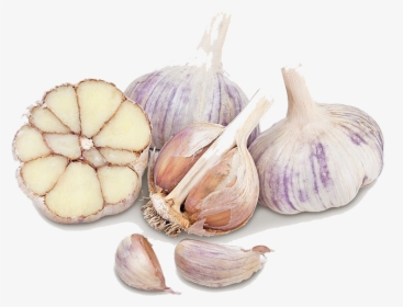 Garlic , Png Download - Garlic, Transparent Png, Free Download