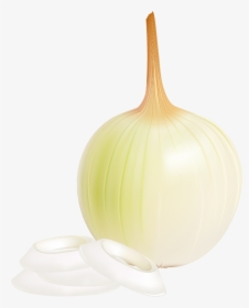 View Full Size - Elephant Garlic, HD Png Download, Free Download