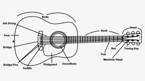 Acoustic Guitar Clip Arts - Annotated Guitar, HD Png Download, Free Download