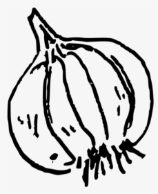 Garlic , Png Download - Garlic Doodle Png, Transparent Png, Free Download